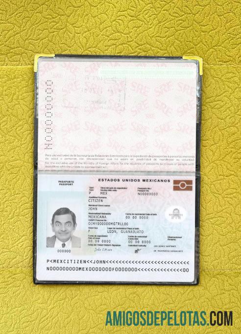 Passaporte do México Novo Photolook Presente 2022 exemplo real